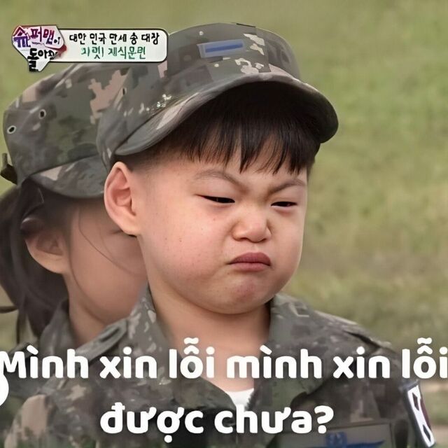 meme xin lỗi hài hước