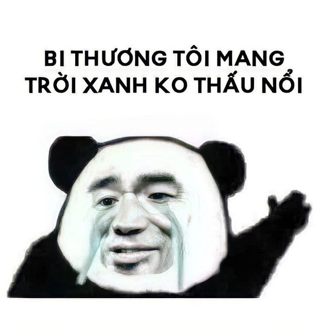 meme xin lỗi hài hước