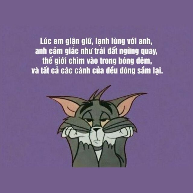 meme xin lỗi người yêu