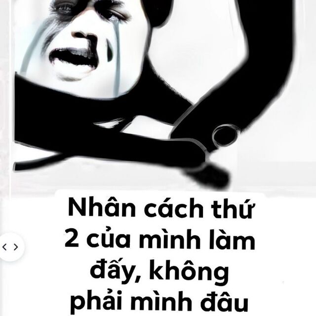 meme xin lỗi hài hước