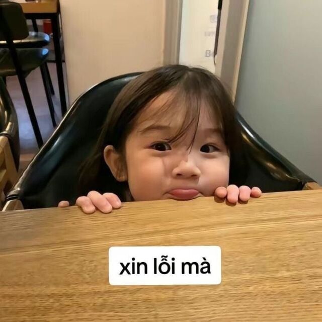 meme xin lỗi người yêu