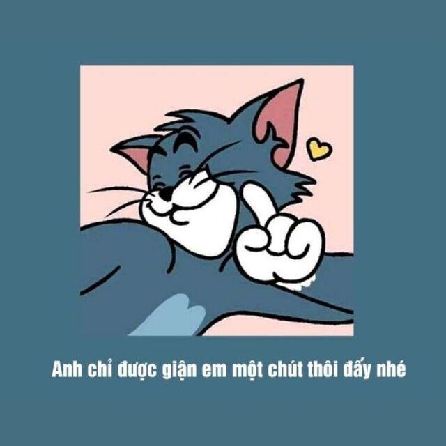 meme xin lỗi người yêu