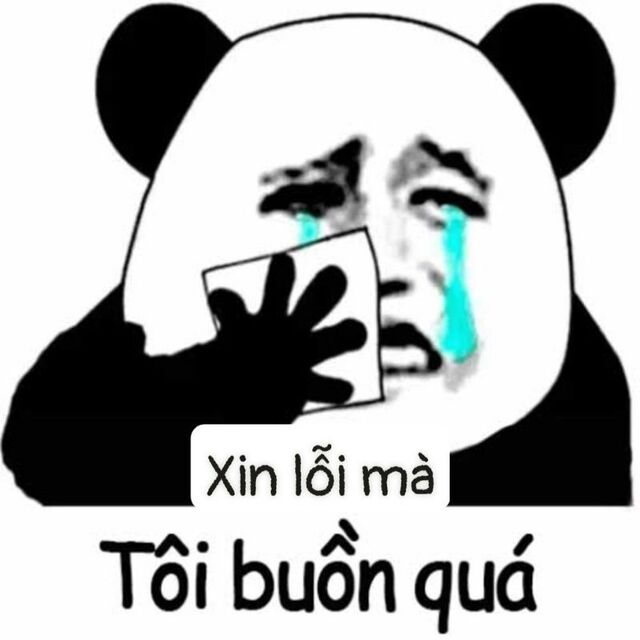 meme xin lỗi hài hước
