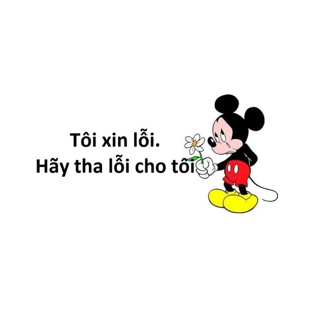 meme xin lỗi người yêu
