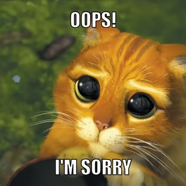meme mèo xin lỗi cute nhất