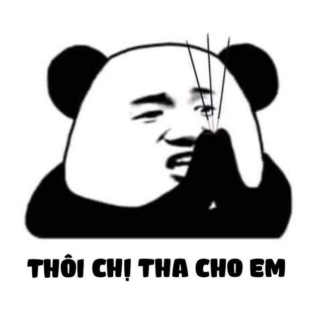 meme xin lỗi hài hước