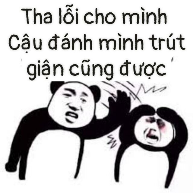 meme xin lỗi hài hước