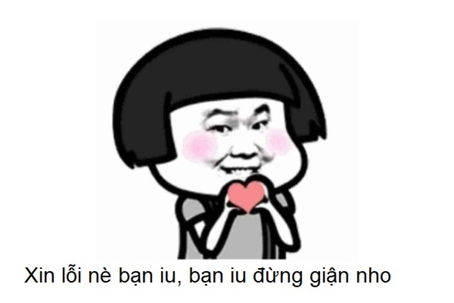 meme xin lỗi hài hước