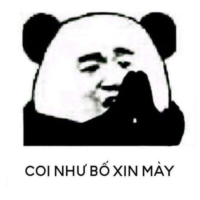 meme xin lỗi hài hước