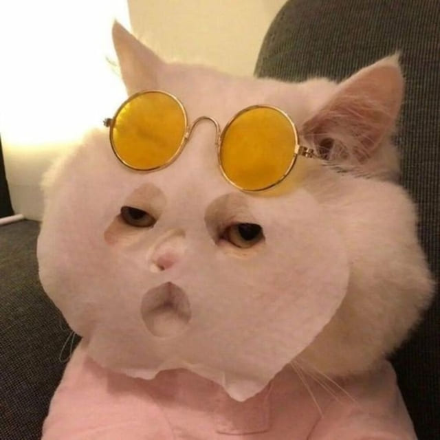 Avatar vô tri meme
