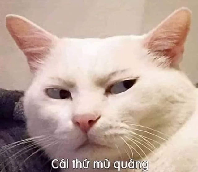 Avatar vô tri meme