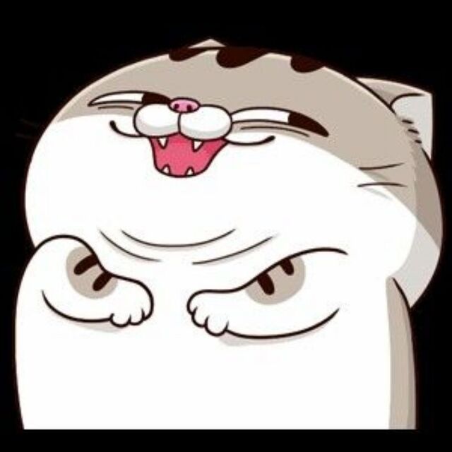 Avatar mèo cute chibi