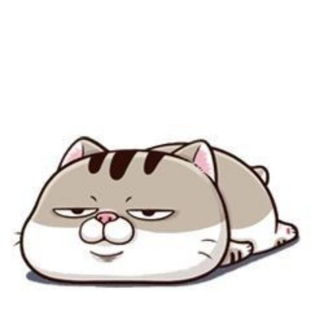 Avatar mèo cute chibi