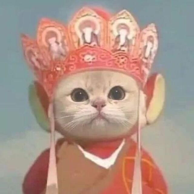 Avatar mèo tự nhiên dễ thương ngộ nghĩnh