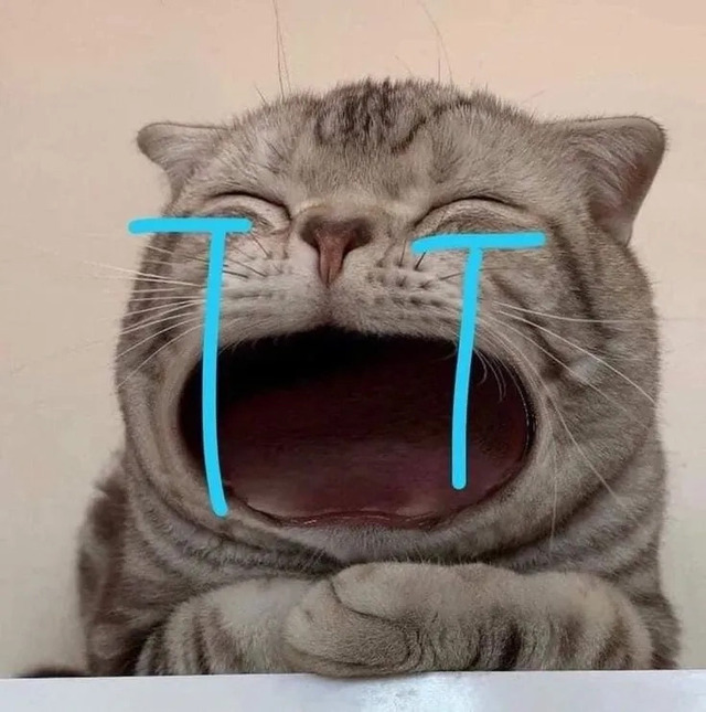Avatar mèo vô tri