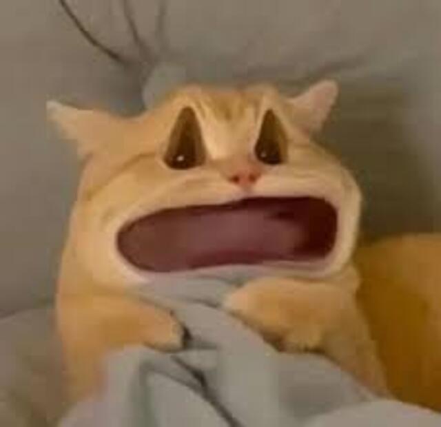 Avatar mèo vô tri