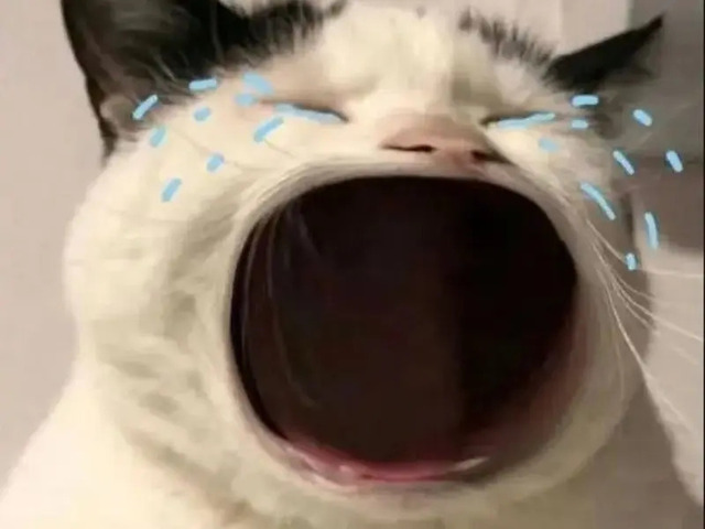 Avatar mèo vô tri