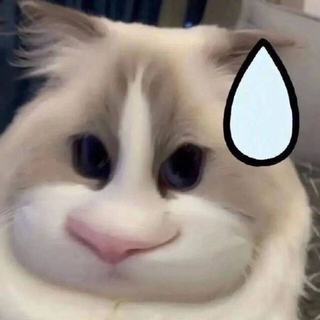 Avatar mèo vô tri