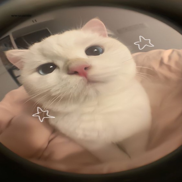 Avatar mèo vô tri