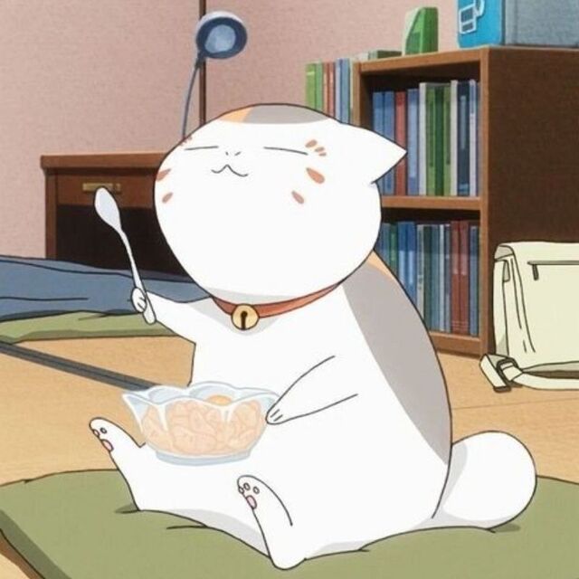 Hình avatar cute mèo