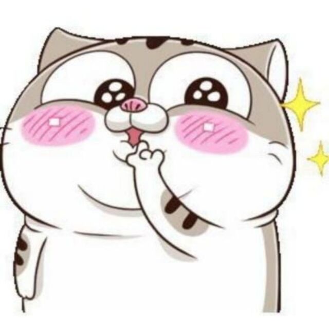 Hình avatar cute mèo
