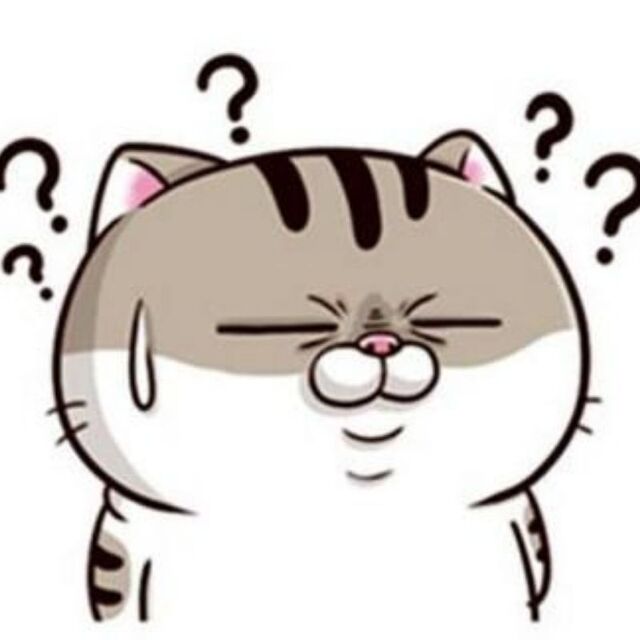 Hình avatar cute mèo