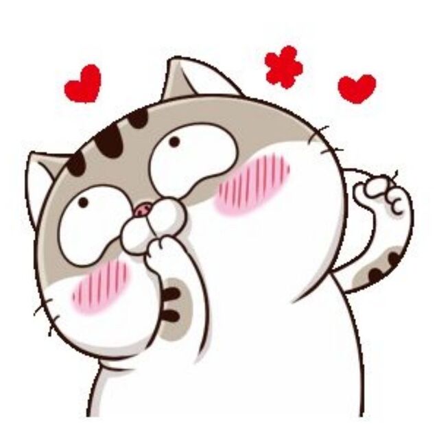 Hình avatar cute mèo