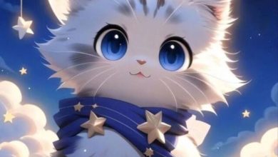 Hình avatar cute mèo
