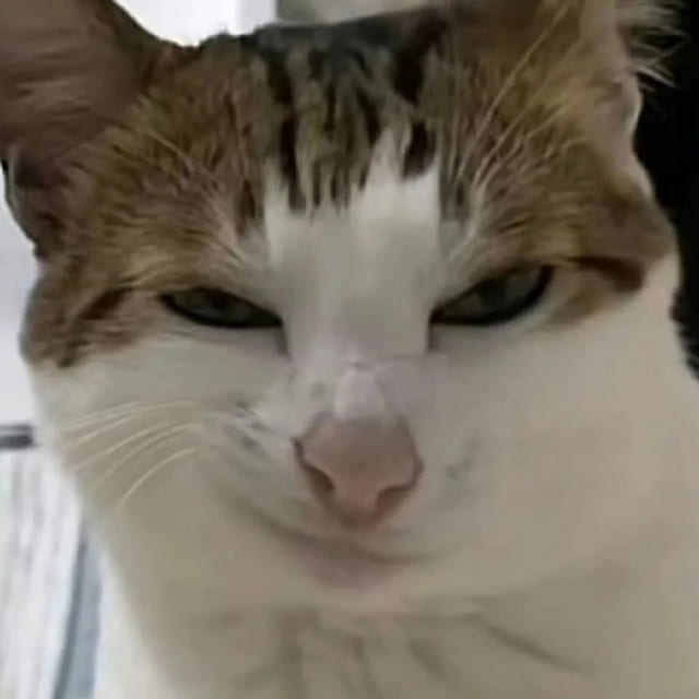 Avatar vô tri meme