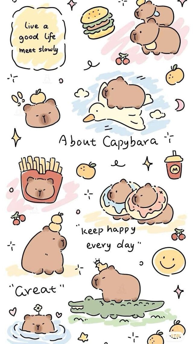 hình nền Capybara cho điện thoại