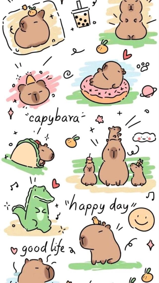 hình nền Capybara cho điện thoại