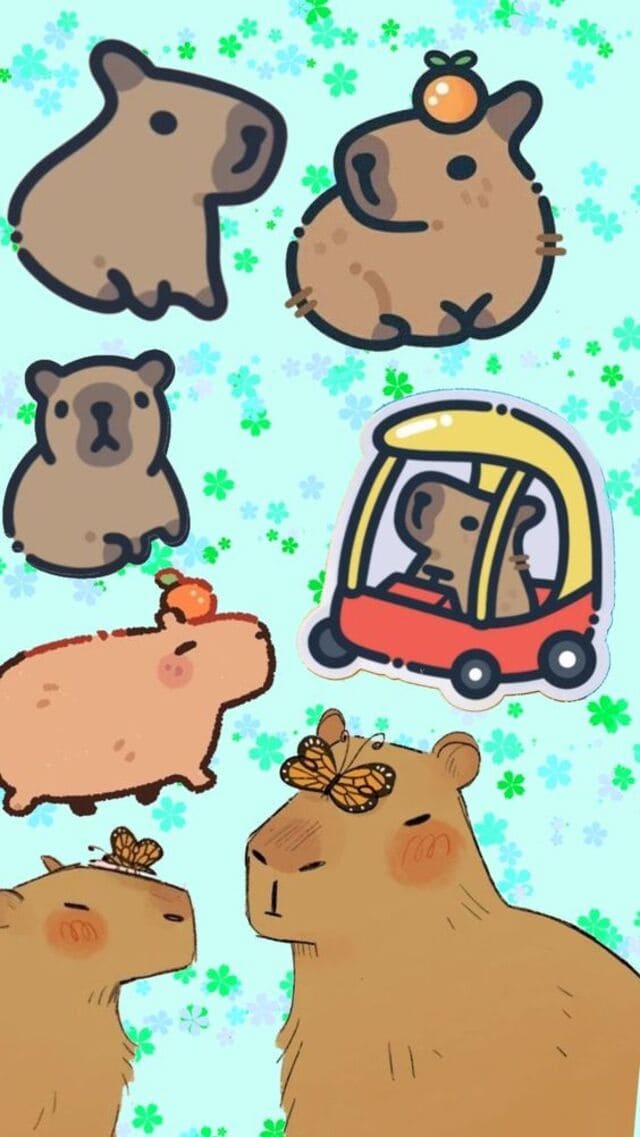 hình nền Capybara cho điện thoại