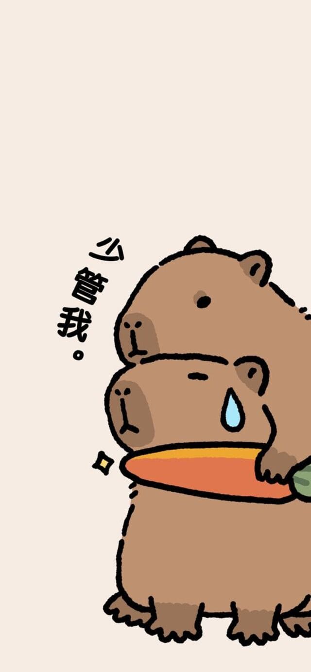 hình nền Capybara cho điện thoại