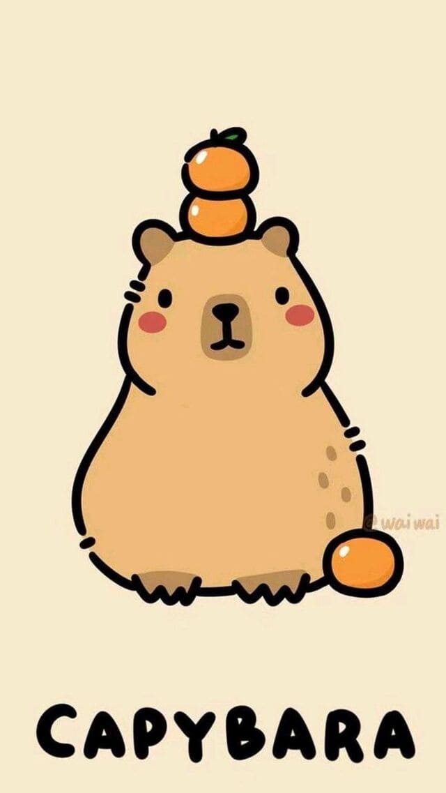 hình nền Capybara cho điện thoại