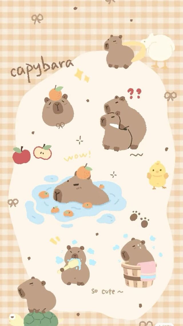 hình nền Capybara cho điện thoại