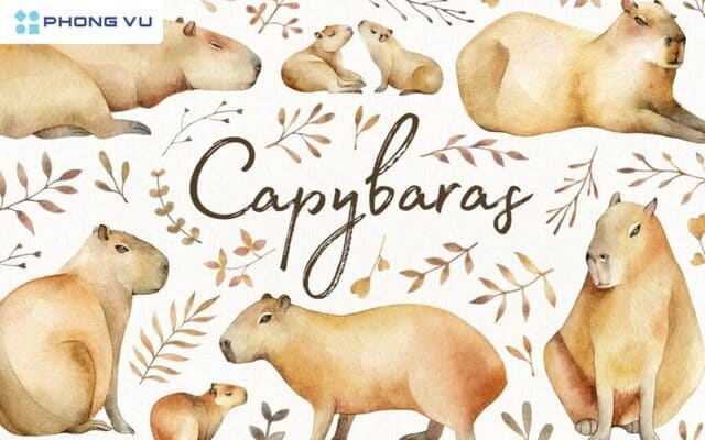 hình nền Capybara cho máy tính