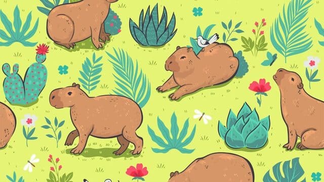 hình nền Capybara cho máy tính