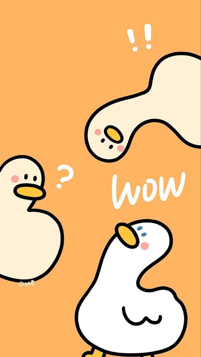 hình nền động vật dễ thương