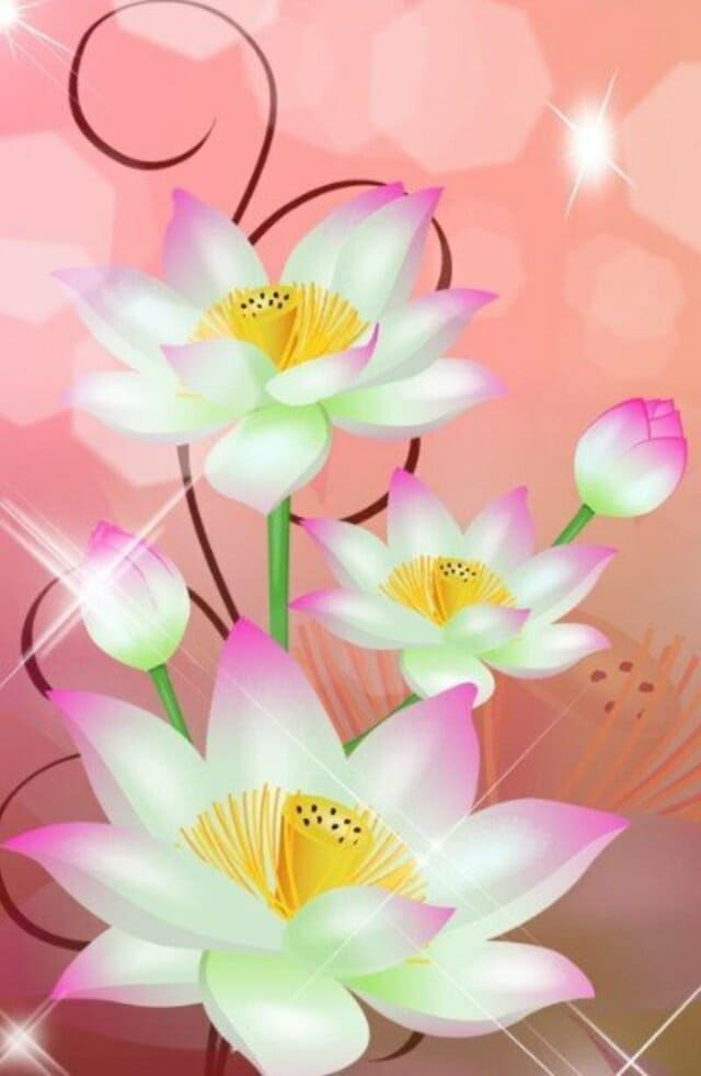 hình nền thiên nhiên, hoa lá, cây cỏ