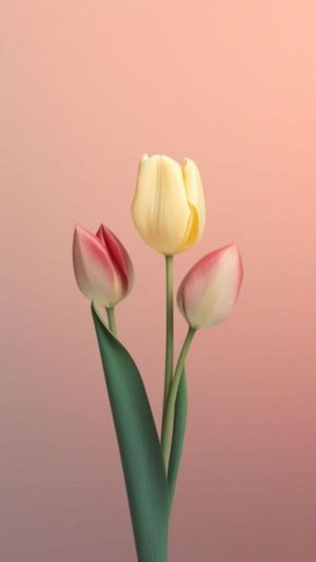 hình nền hoa tulip chill cho điện thoại