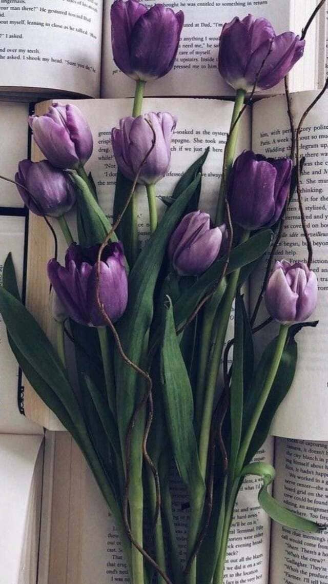 hình nền hoa tulip chill cho điện thoại