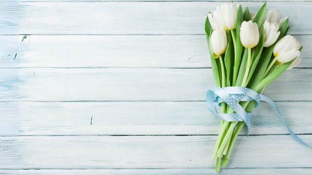 hình nền hoa tulip cho máy tính