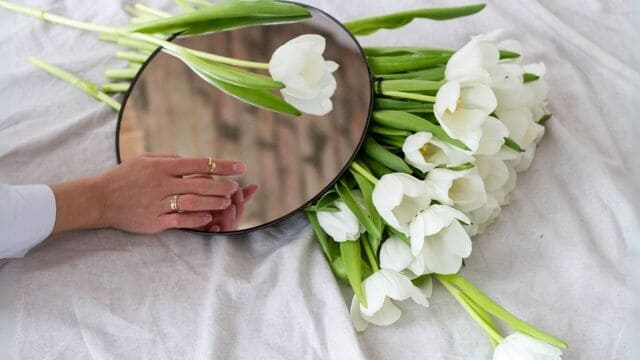 hình nền hoa tulip cho máy tính