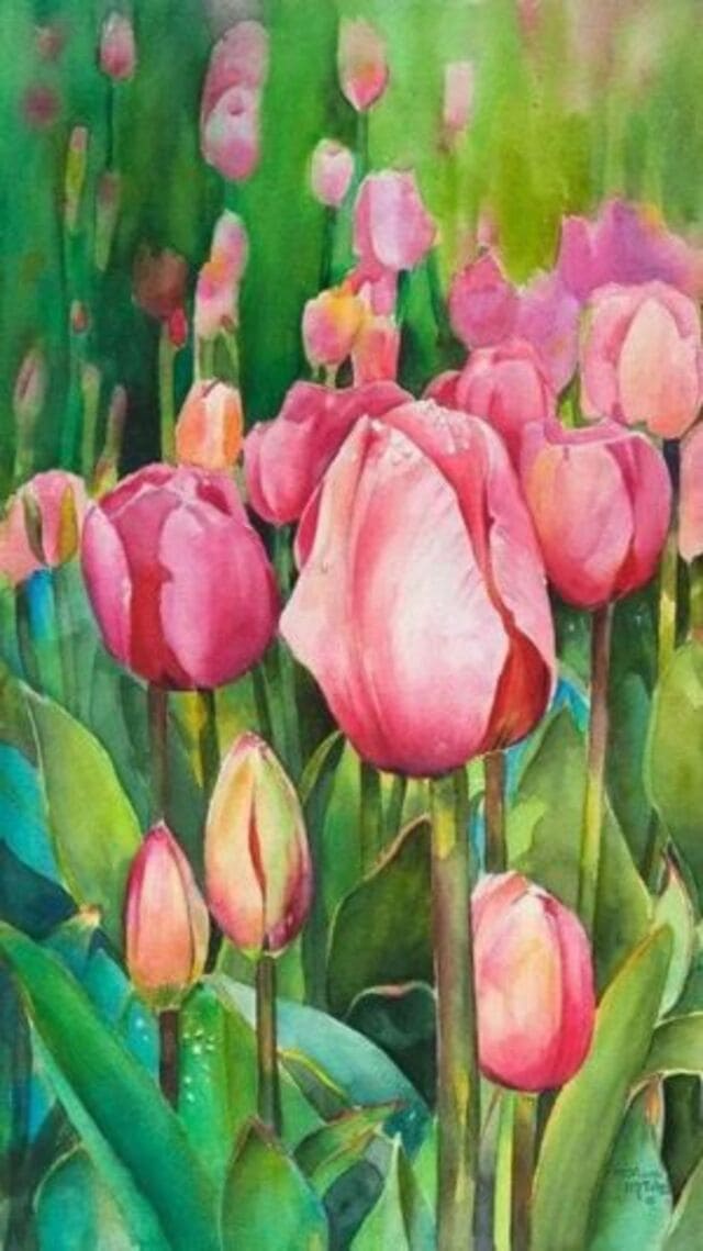 hình nền hoa tulip cute