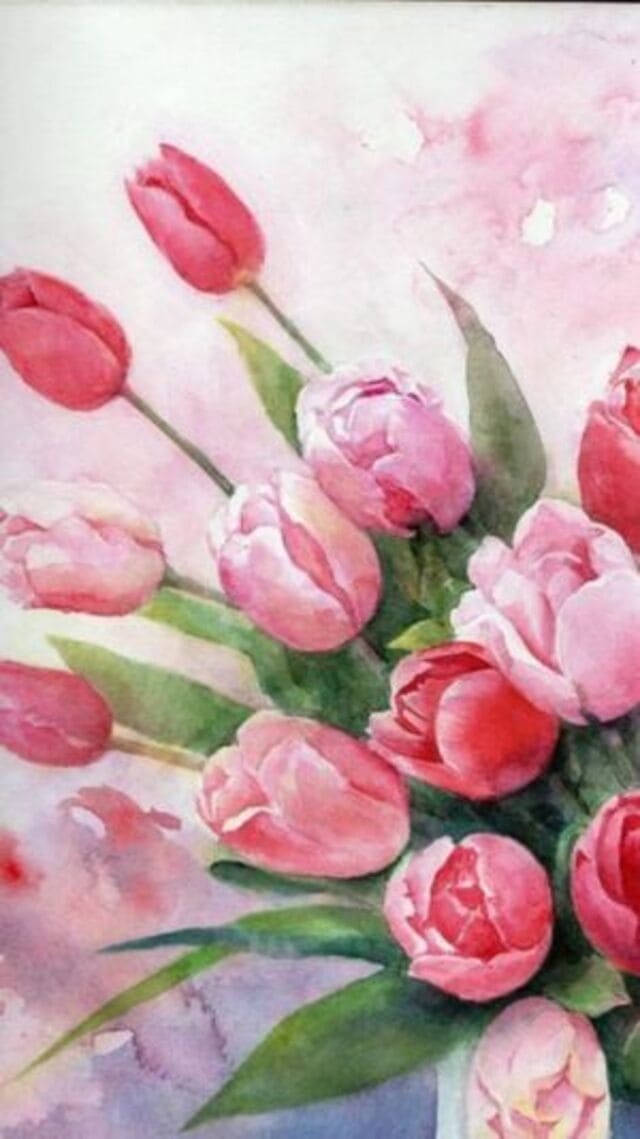 hình nền hoa tulip cute