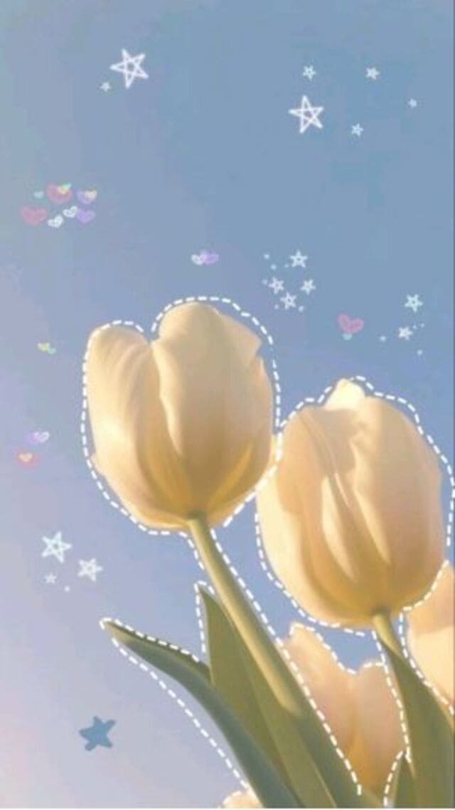 hình nền hoa tulip cute