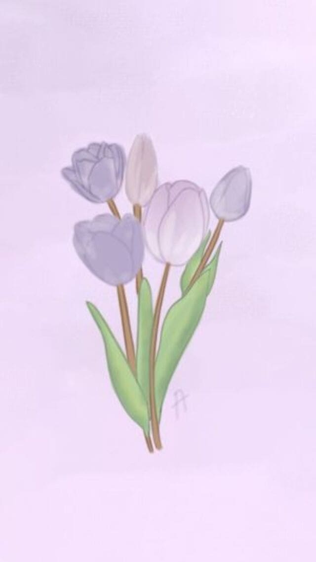 hình nền hoa tulip cute