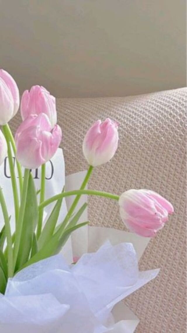 hình nền hoa tulip hồng