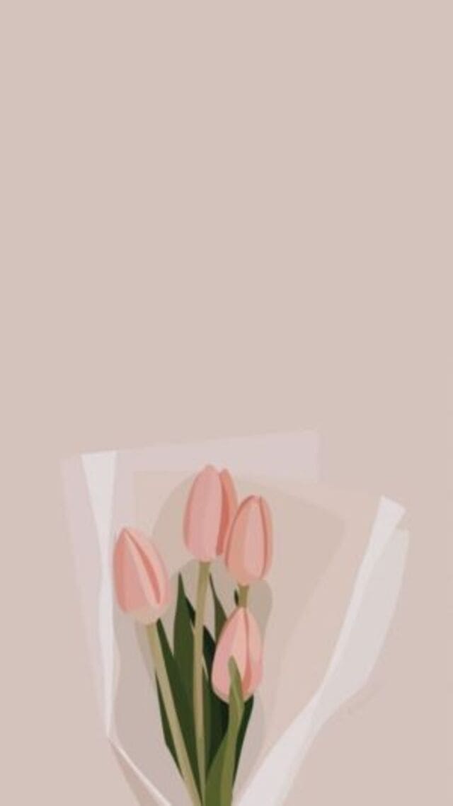 hình nền hoa tulip hồng