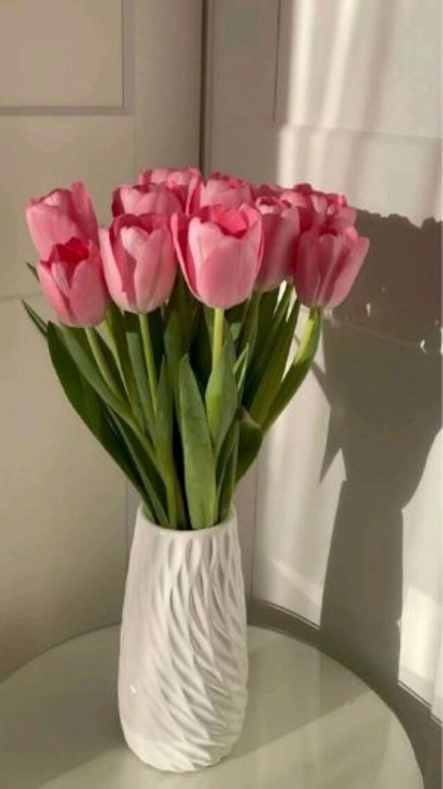 hình nền hoa tulip hồng